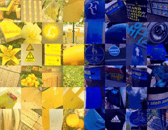 Bosnia_Detail_3_t.gif